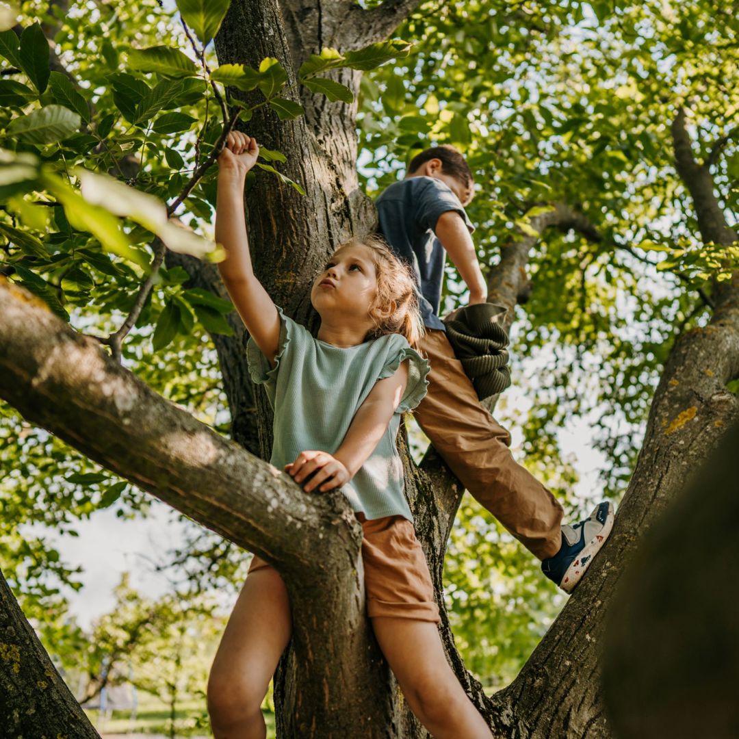 Activiteiten Banner Lente Zomer Kinderen Spelen Buiten Klimmen Boom