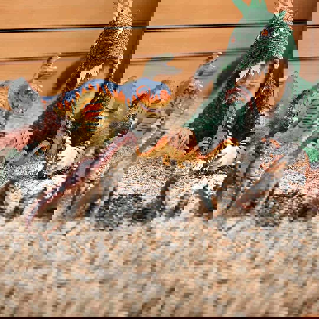 Kind speelt met dino's: cadeautips die geen speelgoed zijn